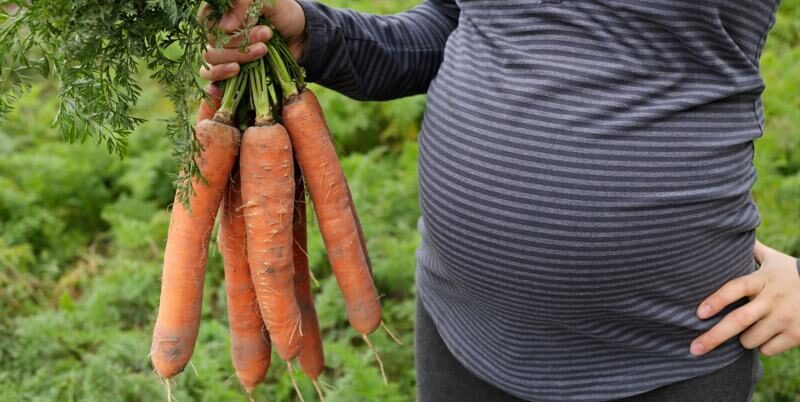 wortels en zwanger