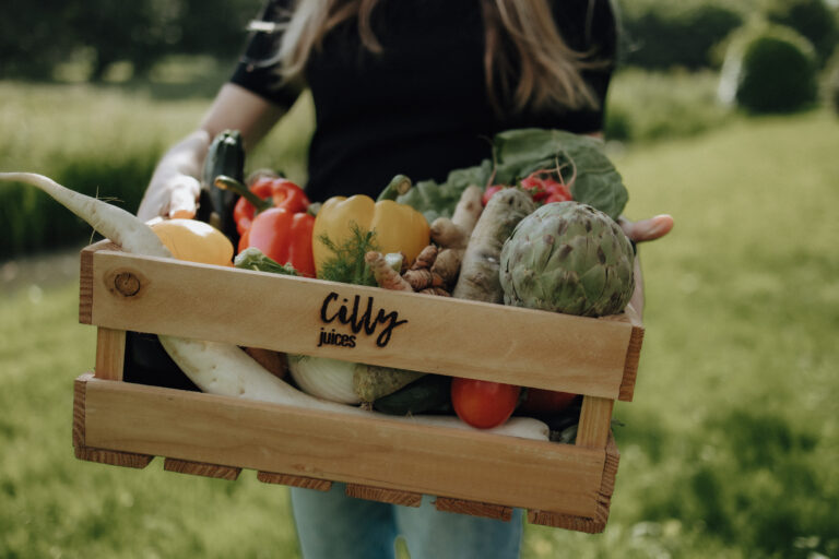 Groente sap en fruit sap