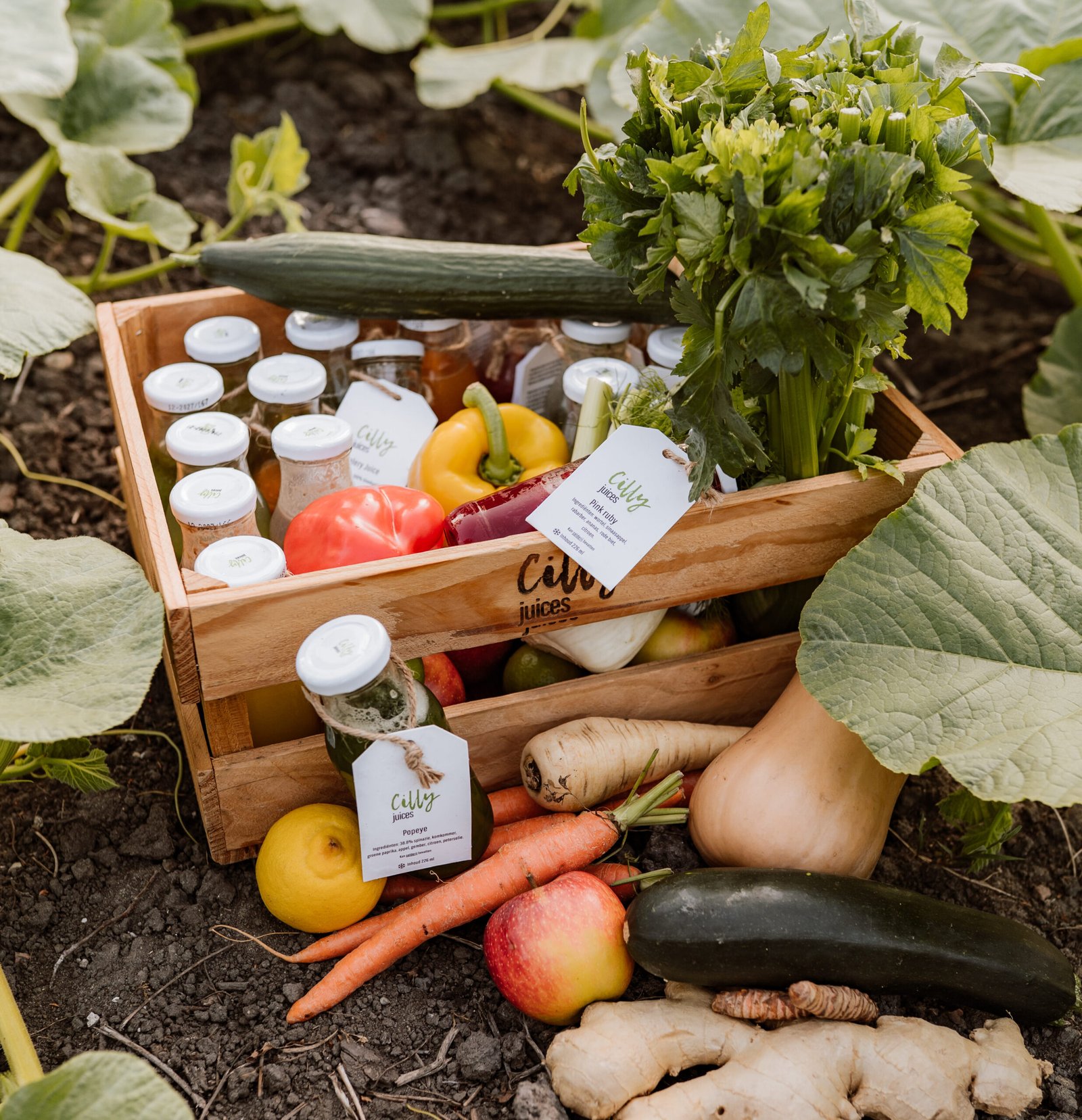 De HeRfstbox van Cilly Juices met koud geperste groentesappen in glas